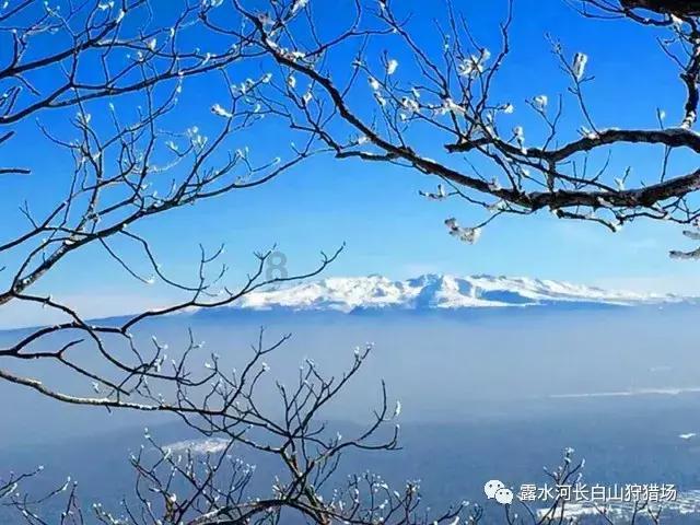 逃离昏暗下的小村