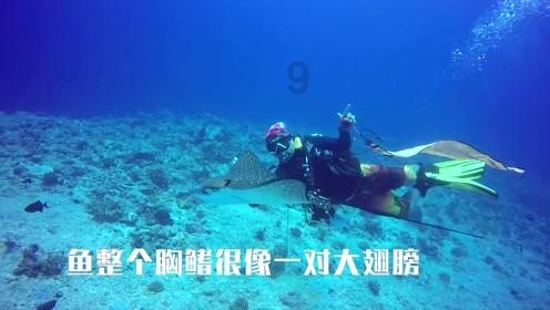 热带假日