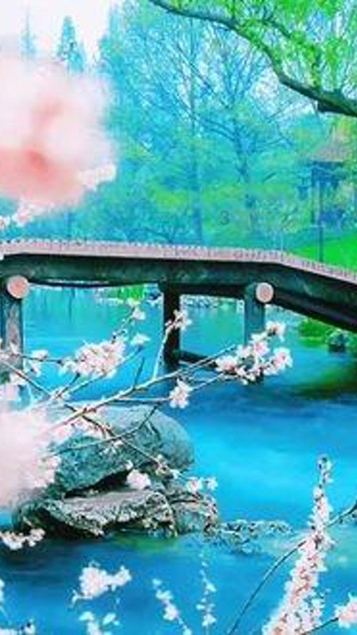 巧变同色