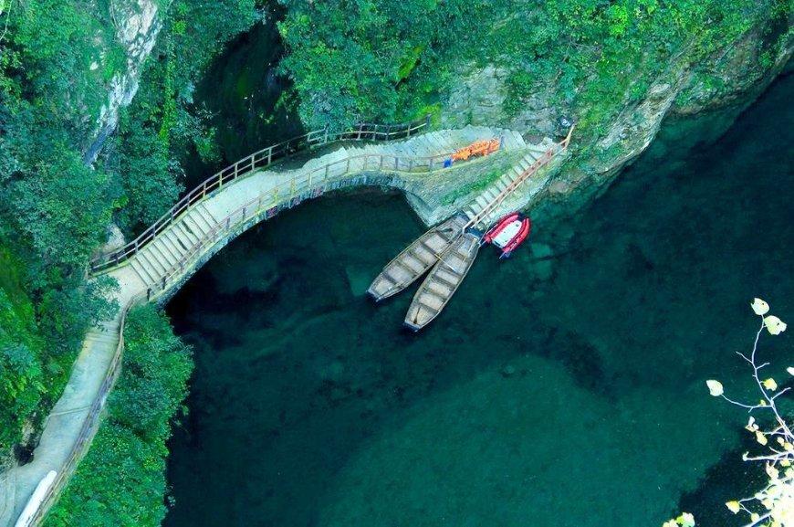 细胞分裂6